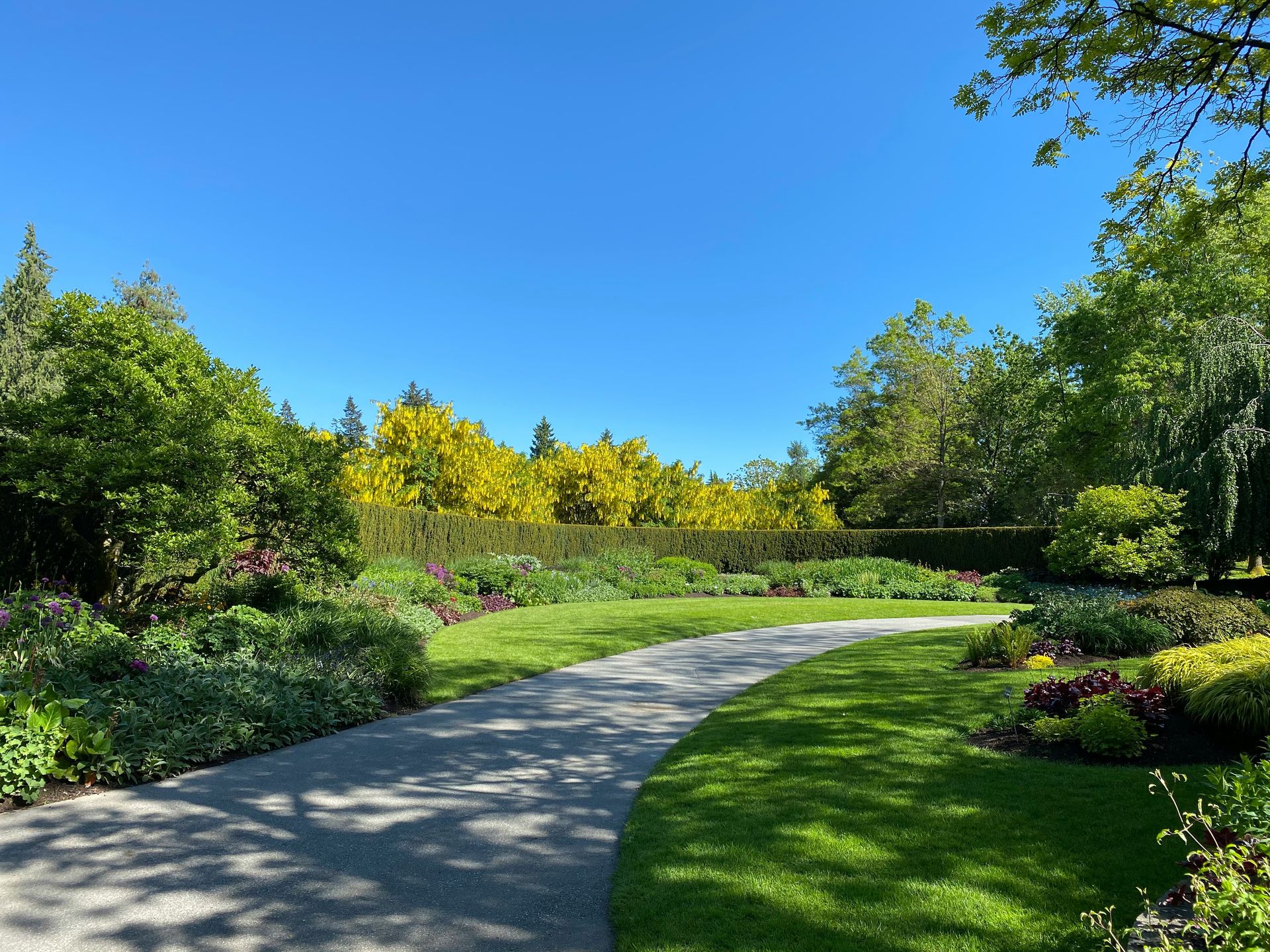 green grass field with trees under blue sky during daytime